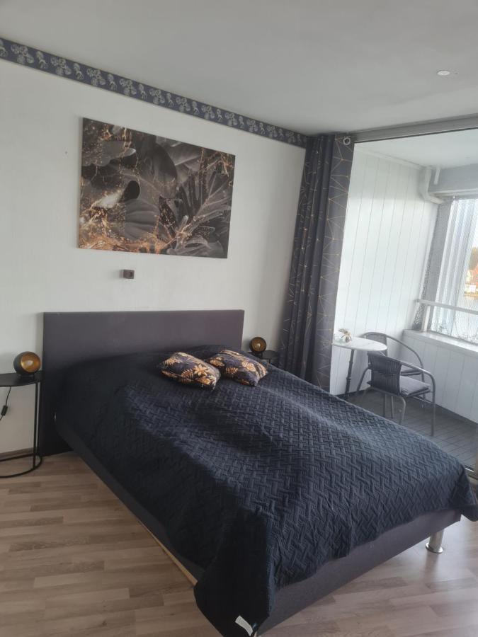 Ferienwohnung Nexus شلسفيغ المظهر الخارجي الصورة